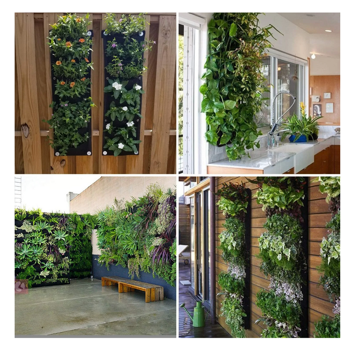 Vertical Hanging Garden